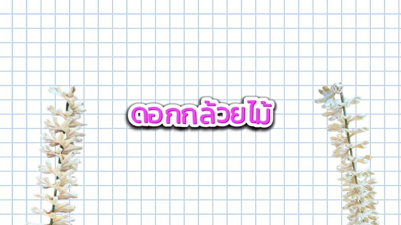 ดอกกล้วยไม้